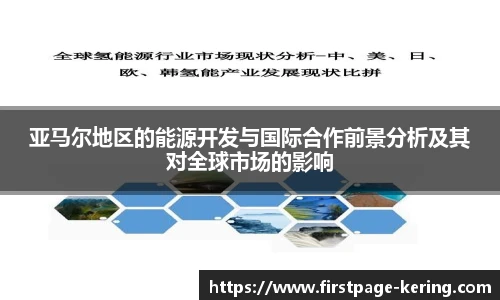 亚马尔地区的能源开发与国际合作前景分析及其对全球市场的影响
